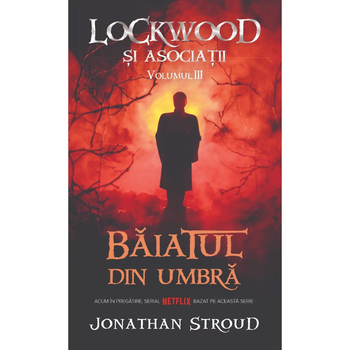 Baiatul din Umbra - Jonathan Stroud | Rao