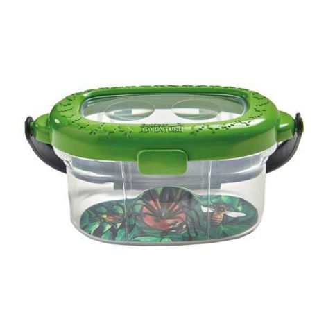 Observator Insecte Brainstorm | Mic Naturalist - imagine 5