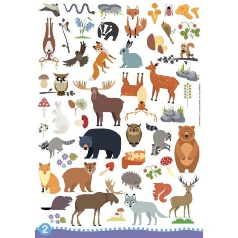 Sassi - Set Creativ Animalute +4 Ani - imagine 11