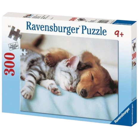 Puzzle Vise Plăcute 300 Piese Ravensburger