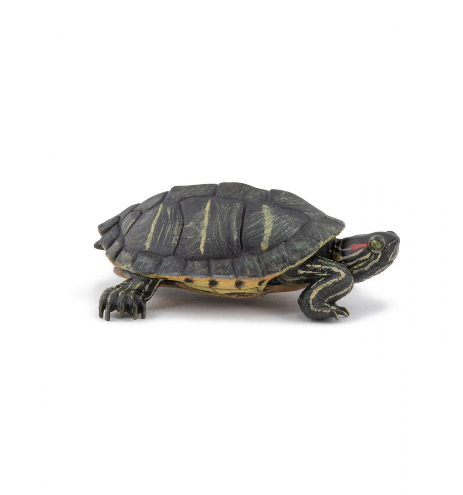 Figurină Papo Țestoasă Florida | Jocuri Copii
