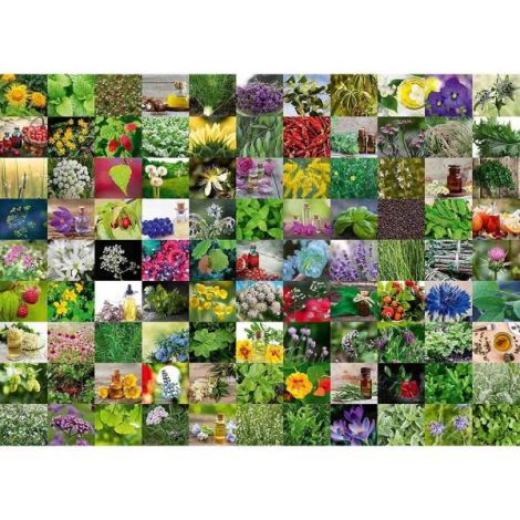 Puzzle Ravensburger 1000 Piese Plante și Condimente
