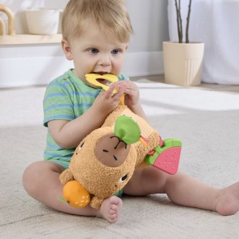 Fisher-Price Capibara Senzorială pentru Bebeluși - imagine 9