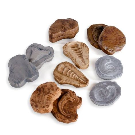 Fosile Magnetice Guidecraft - Joc STEM Preistoric - imagine 4