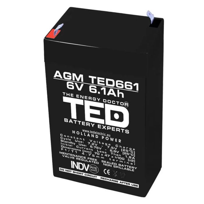 Acumulator Masinuta 6V 6.1Ah AGM TED661