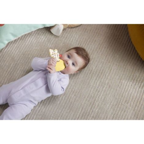 Fisher-Price Iepuras Dentiție Bebeluși Senzorial - imagine 3