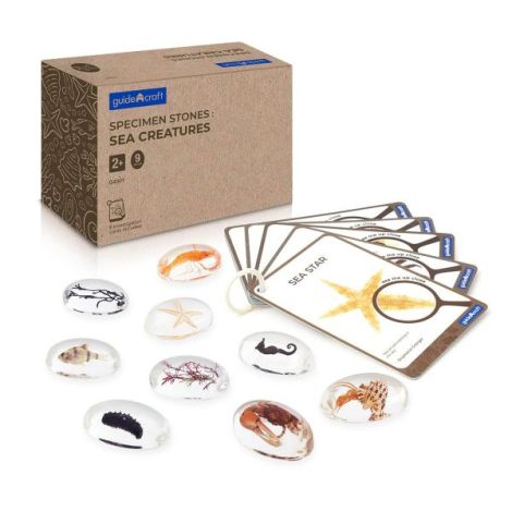 Specimen Stones Sea Creatures Guidecraft - Set 9 piese