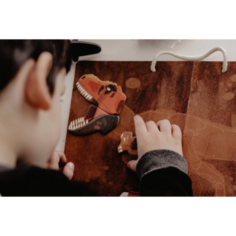 Joc Magnetic T-Rex Mieredu | Jucării Educat - imagine 2