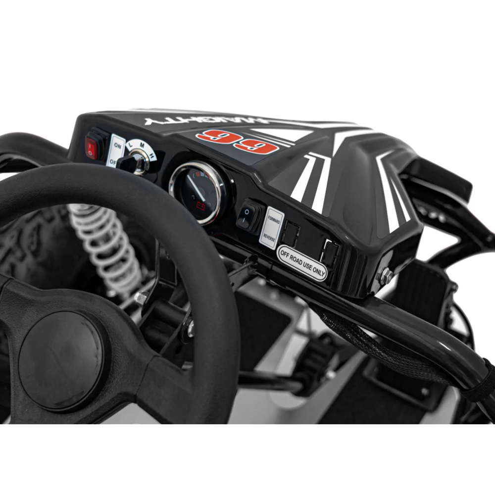 Ramiz Kart Electric 1000W - Adrenalină și Siguranță - imagine 11