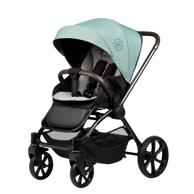 Buba Kanatitza 2in1: Carucior premium cu suspensii