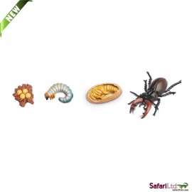 Set Ciclul Vietii Radasca - Figurine Safari Ltd. - imagine 2