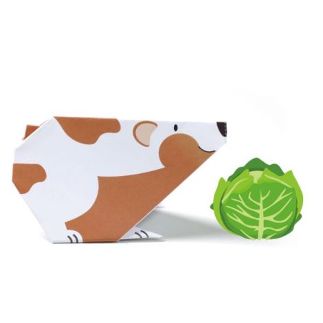 Avenir Origami Animale - Kit Creativ Pentru Copii - imagine 9