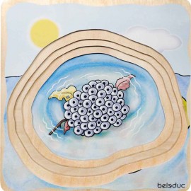 Puzzle Stratificat Broasca Beleduc | Anatomie - imagine 5
