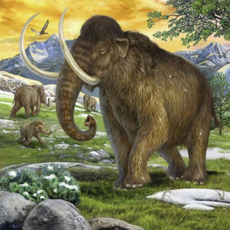 Puzzle Dinozauri 3x49 Piese Ravensburger - imagine 2
