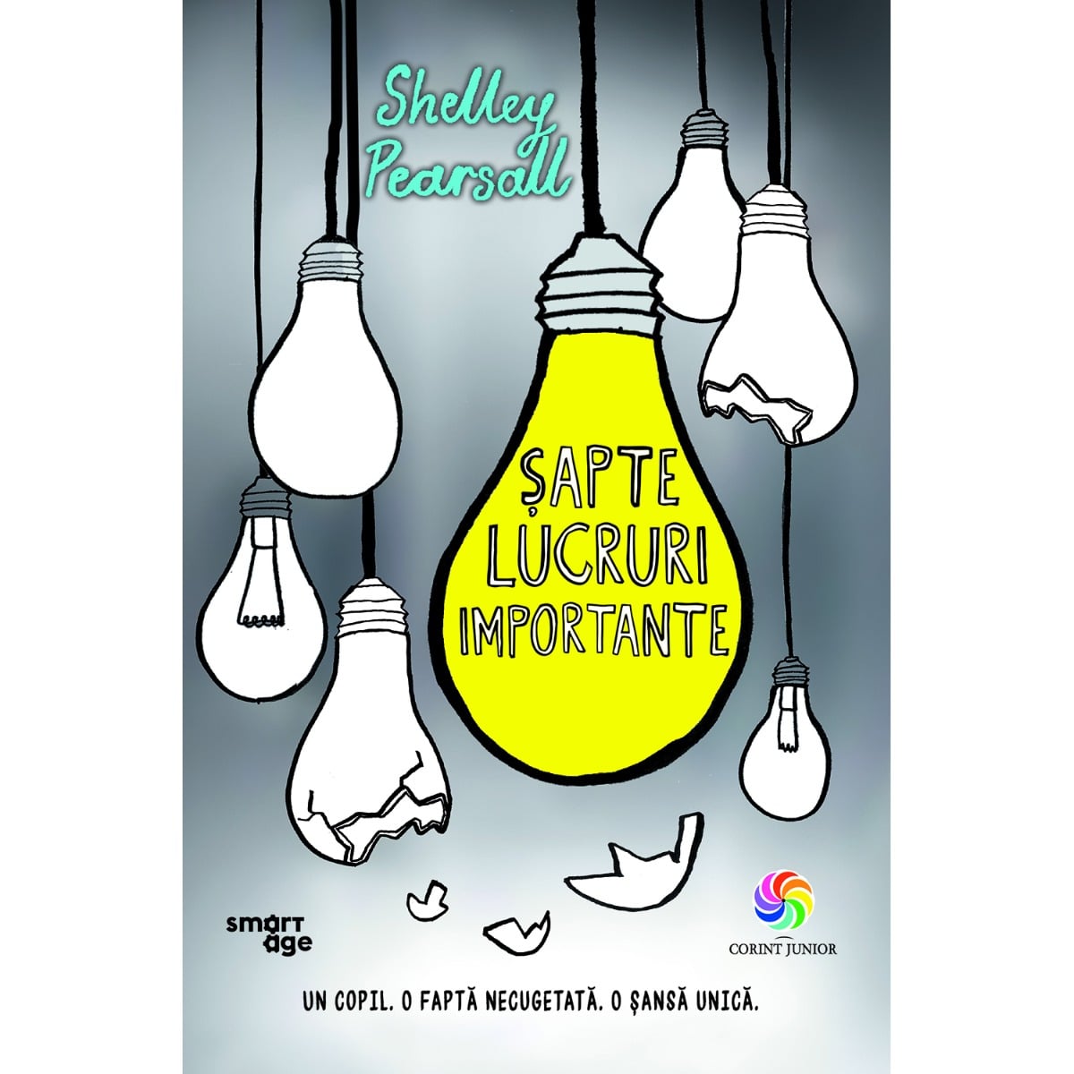 Sapte lucruri importante - Editura Corint