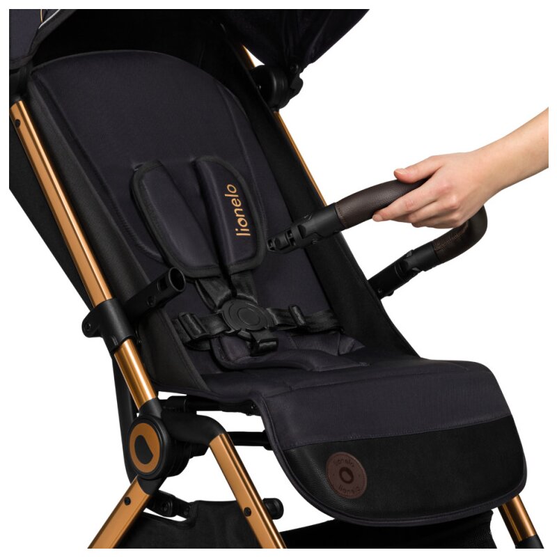 Carucior Sport Lionelo Cloe Golden Moments Editie Limitata - imagine 2