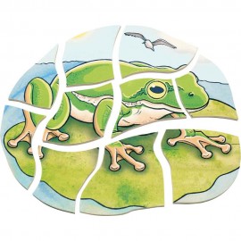Puzzle Stratificat Broasca Beleduc | Anatomie