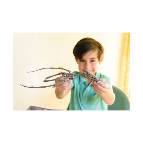Set Sapa Dinozauri Pteranodon 4M - Descopera Joc - imagine 4
