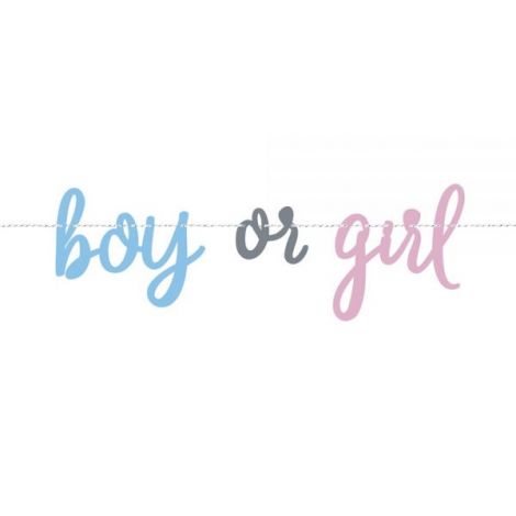 Banner Gender Reveal Unique 213 cm - Deco Festivitate