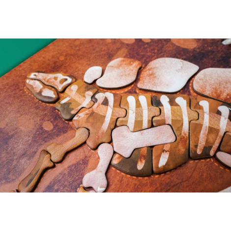 Joc Magnetic Educativ Stegosaurus Mieredu - imagine 5