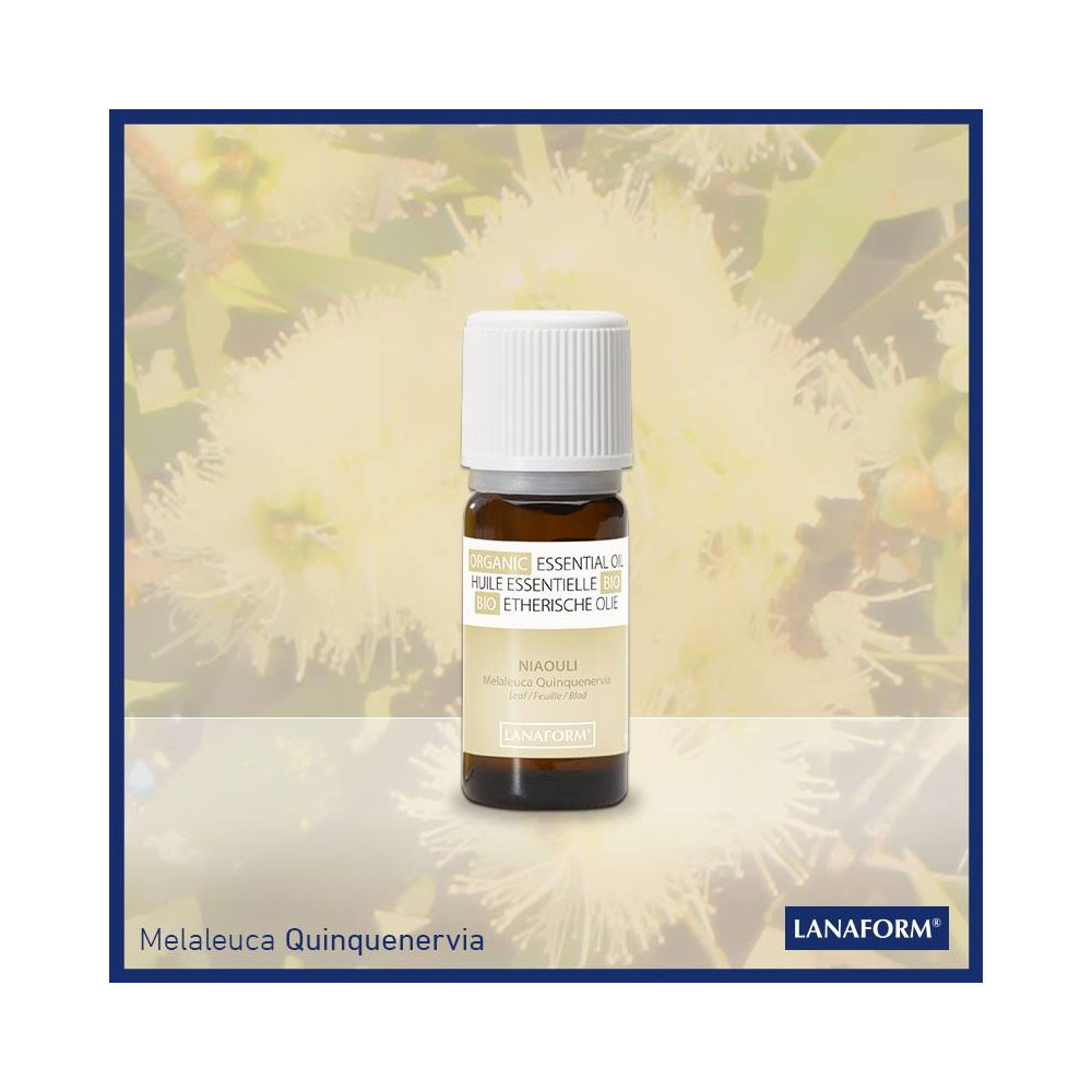 Ulei Organic Niaouli Lanaform - Purificator