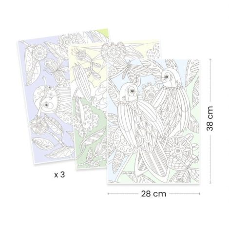 Mapa 3 Postere Colorat Pasari Djeco - imagine 3