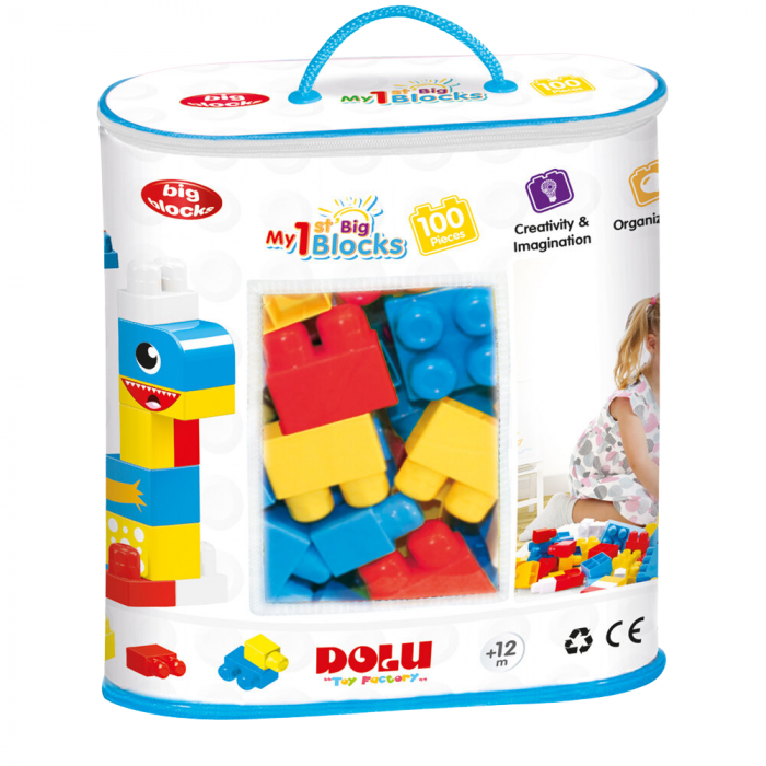 Cuburi de Construit Dolu 100 Piese - Jucarie Educativa