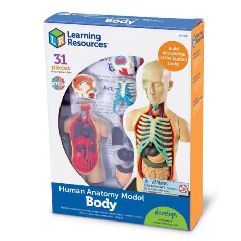 Learning Resources Sablon Corp Uman Educational - imagine 5