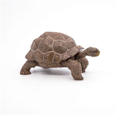 Papo Testoasa Galapagos - Figurina Detaliata - imagine 4