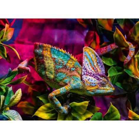 Puzzle Cameleon 500 piese Ravensburger - imagine 3