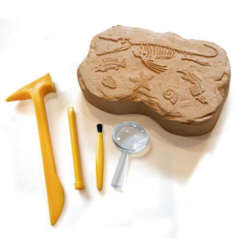 Geosafari Kit Excavare Fosile Educational Insights - imagine 2