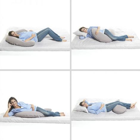 Perna gravida Red Castle Big Flopsy 170 cm