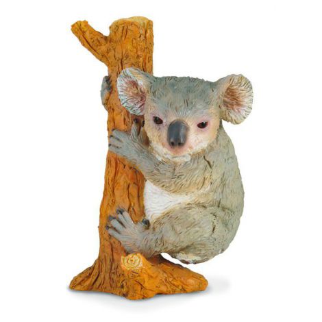 Figurină Koala Collecta | Detalii Realiste