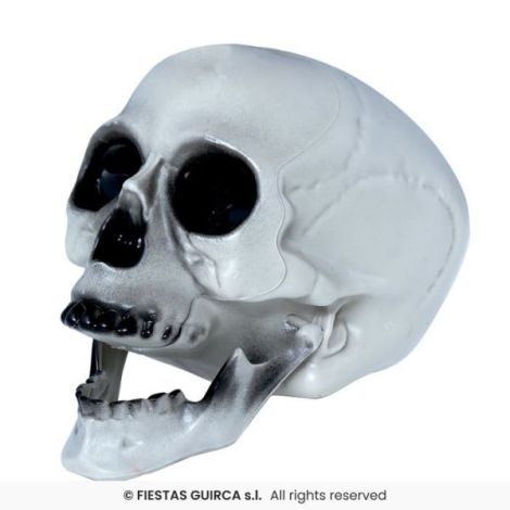 Cap Schelet cu Mandibula Mobila | Widmann - imagine 2