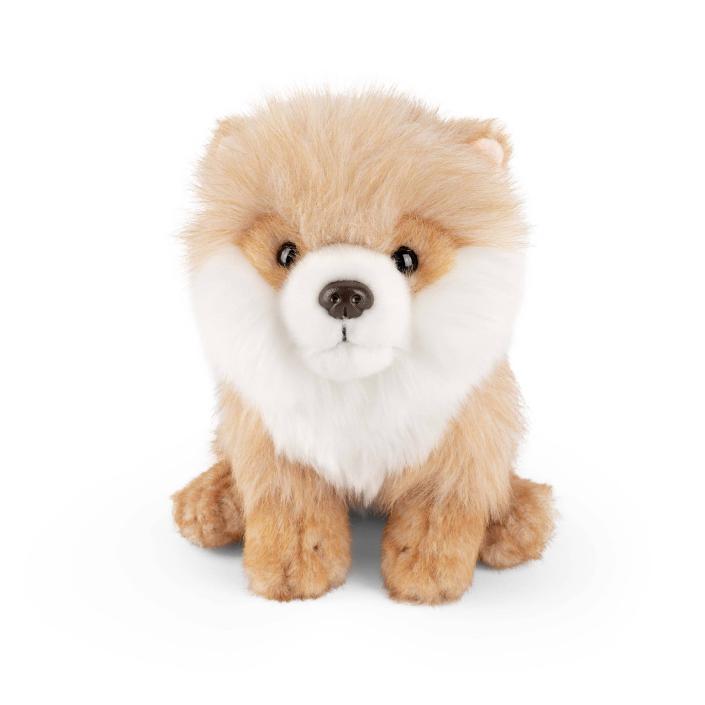Catelus Plus Pomeranian Living Nature 20cm