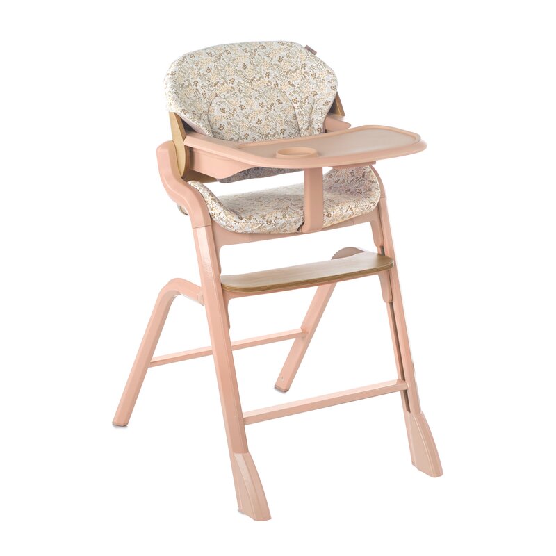 Scaun Evolutiv Noah Jane | Lemn Fag 6 luni-Adult