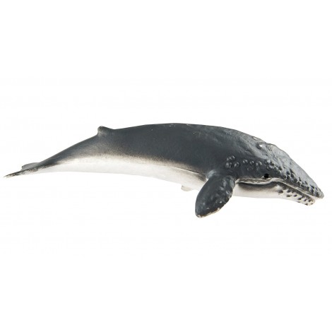 Tub 10 Figurine Specii Marine Safari Ltd - imagine 9