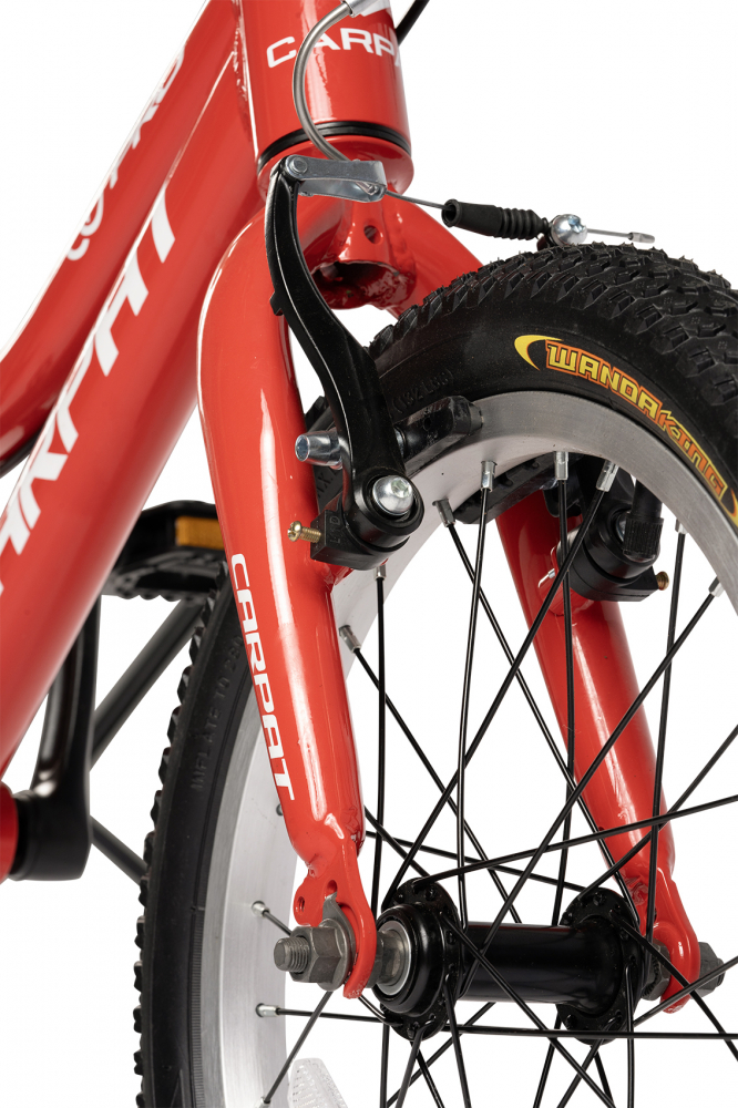Bicicleta Carpat 16" Rosu-Alb 4-6 ani - imagine 5
