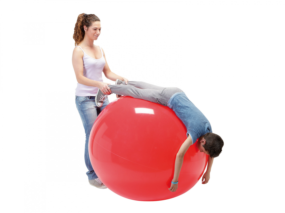 Minge Fizioterapie Gymnic 95cm | Reabilitare - imagine 2