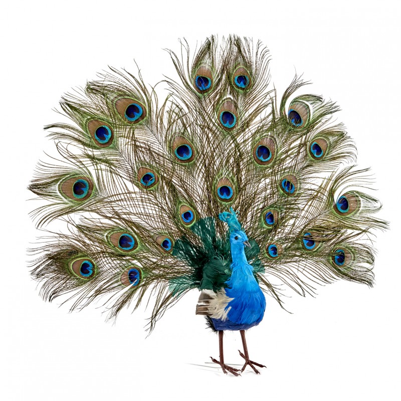 Paun Decorativ 56 cm Figurina Pictata Manual
