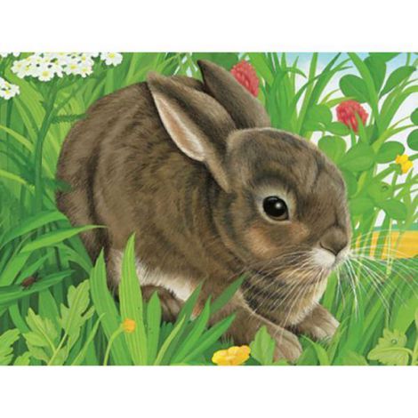 Puzzle Animale 12 piese Ravensburger - imagine 2