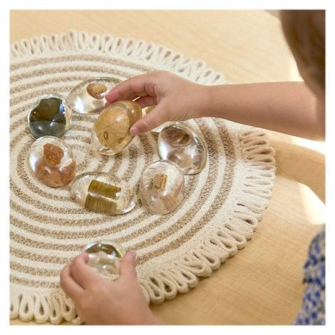 Guidecraft Specimen Stones - Set Fosile Preistorice - imagine 2