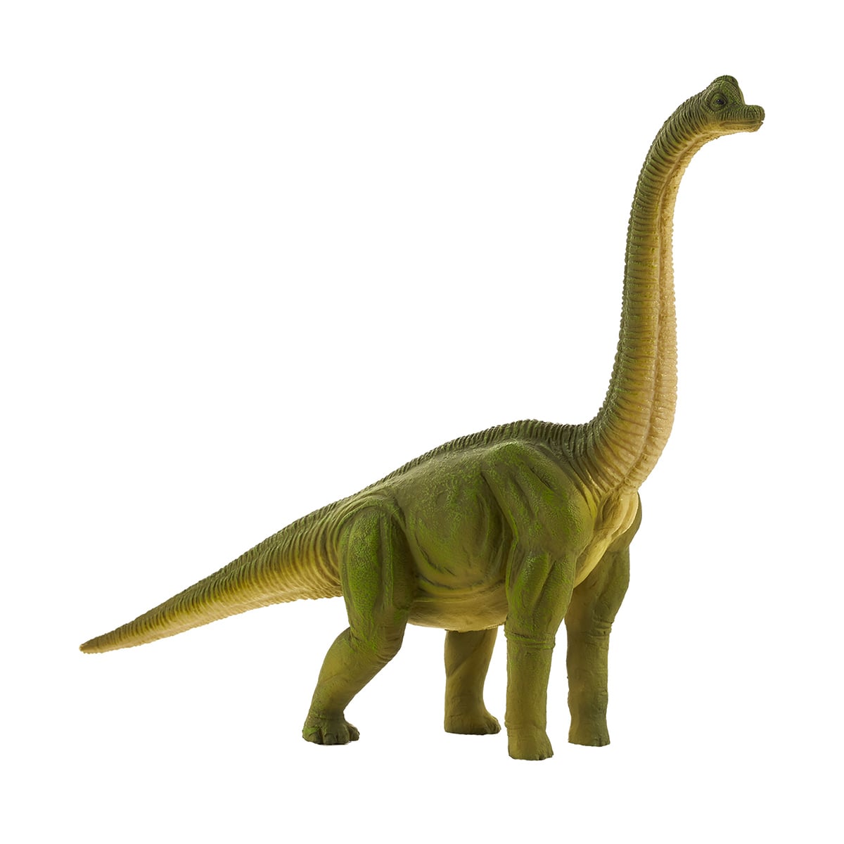 Figurina Dinozaur Mojo Brachiosaurus, Realist