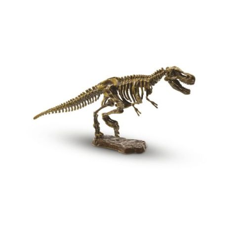 Set Arheologie Dinozaur T-Rex | Ses Creative - imagine 2