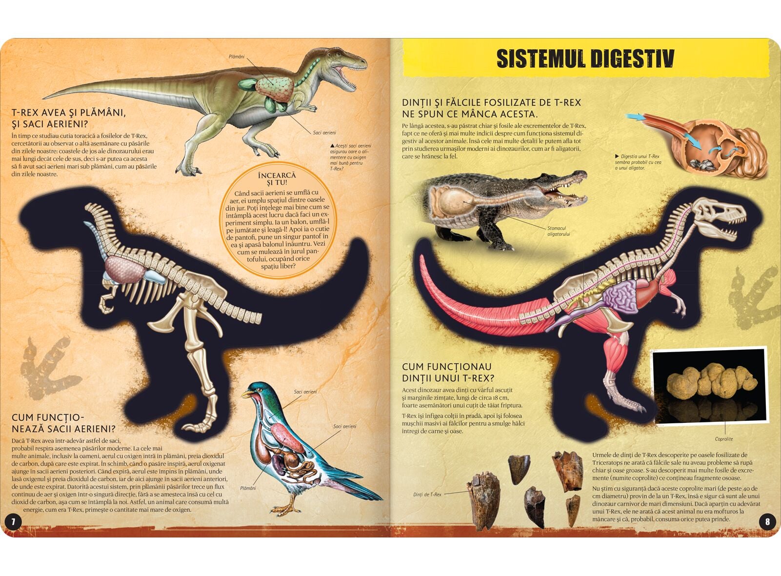 Inside Out T-Rex 3D Kreativ - Carte Interactivă