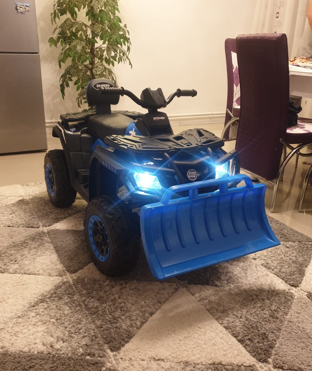 ATV Electric 2 Locuri 4x4 24V Autokids