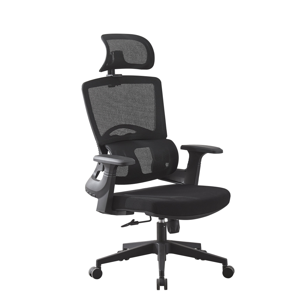 Scaun ergonomic Procart, suport lombar integrat - imagine 4
