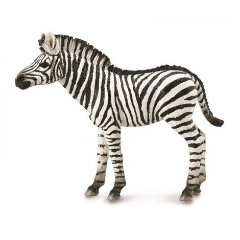 Figurina Pui de Zebra Collecta, Pictata Manual