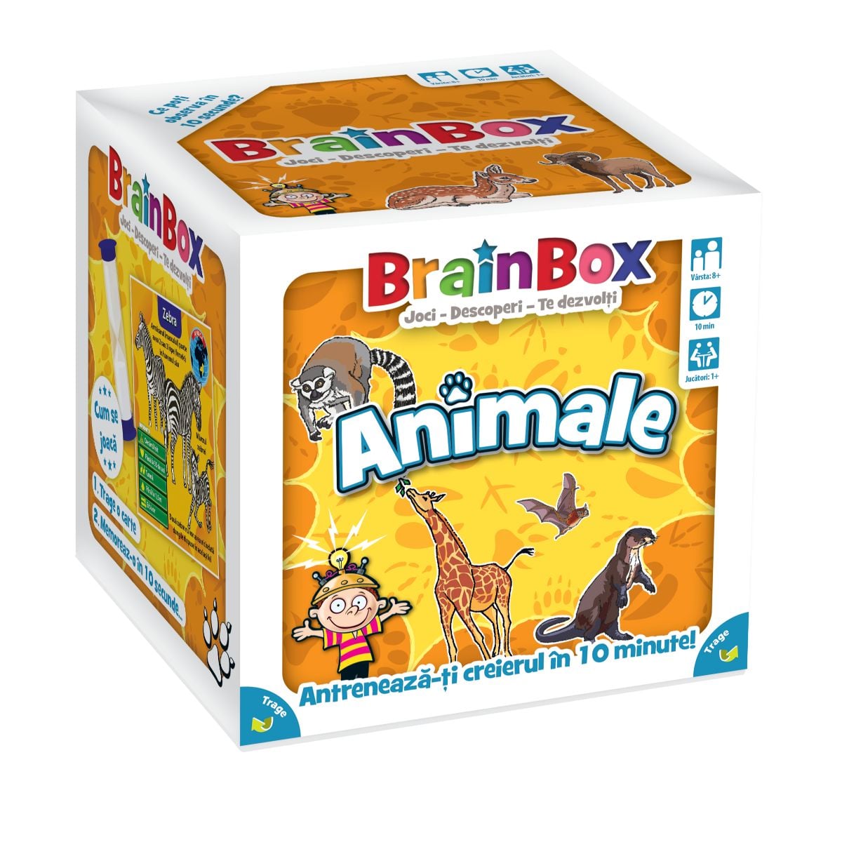 BrainBox Animale - Joc Educativ Familie