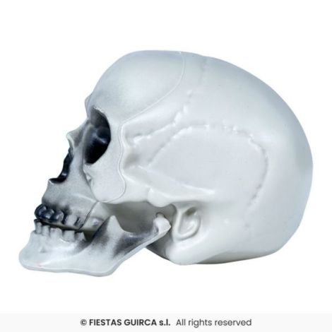 Cap Schelet cu Mandibula Mobila | Widmann - imagine 3